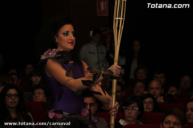 Pregn Carnaval Totana 2013 - 190