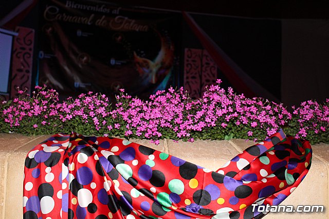 Pregn Carnaval de Totana 2017 - 147
