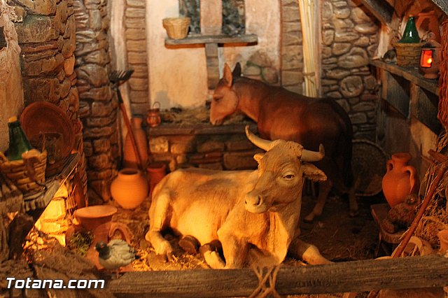 Pregn de Navidad 2012 - 23