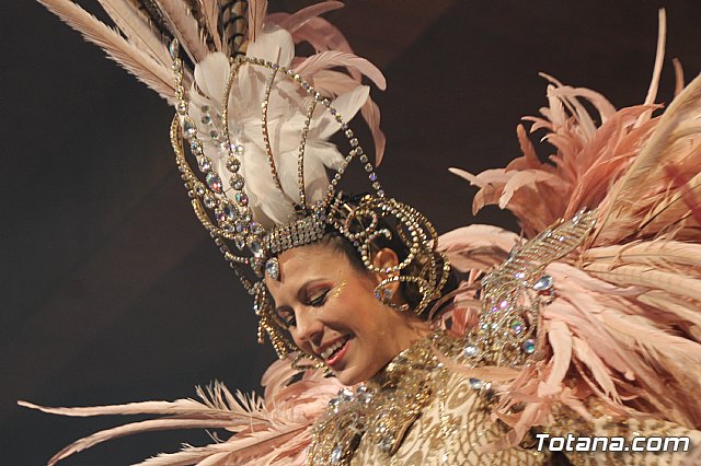 Gala Pregn y Mscara de Oro Carnaval de Totana 2018 - 646