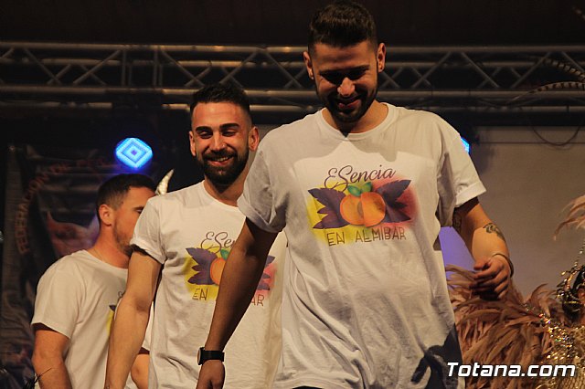 Gala Pregn y Mscara de Oro Carnaval de Totana 2018 - 670