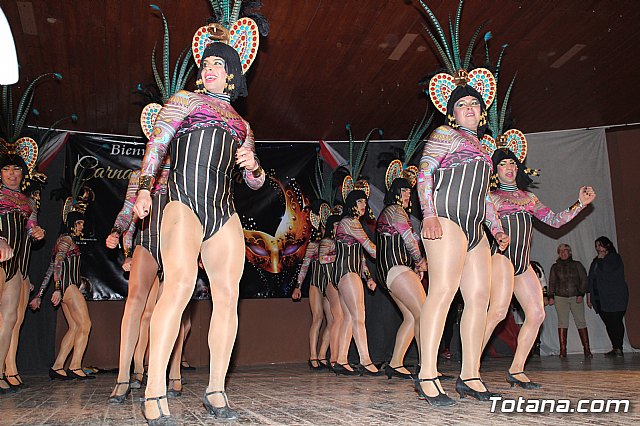 Entrega premios Carnaval Totana 2017 - 217