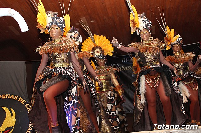 Entrega premios Carnaval Totana 2017 - 252