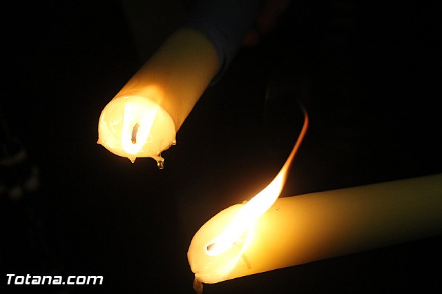 Procesin del Santo Entierro - Semana Santa 2014 - 919