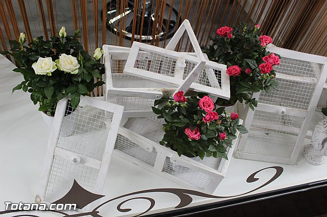 Inauguracin nuevas instalaciones de Purificacin Zamora - Saln de Belleza - 39