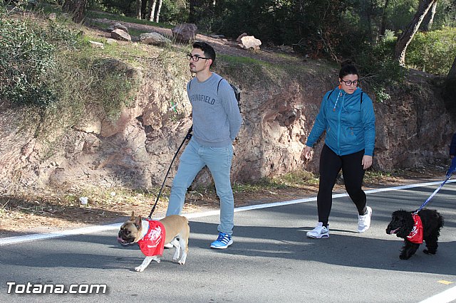 Romera Santa Eulalia 7 enero 2016 - Reportaje II (Llegada a la Santa)  - 6