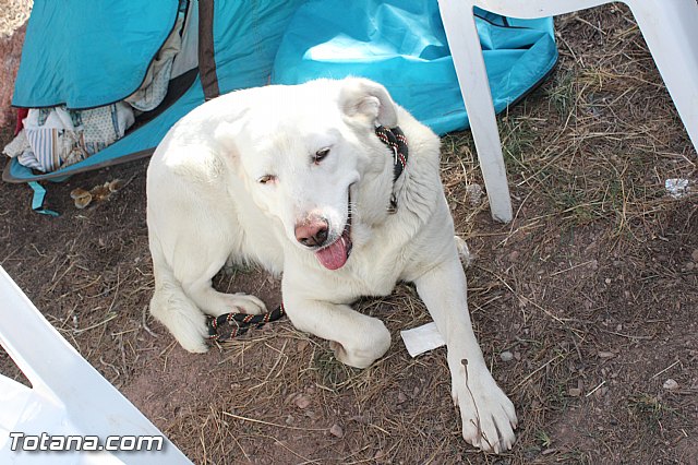 Romera Santa Eulalia 7 enero 2016 - Reportaje III (Jornada festiva en la Santa)  - 30