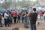 romeria 6 - 51 romeria 6