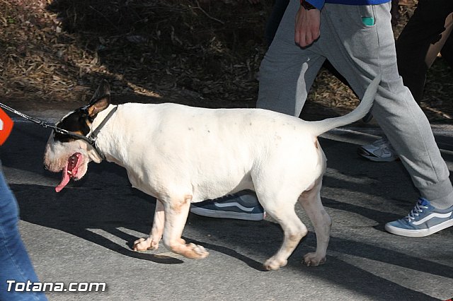 Romera Santa Eulalia 7 enero 2017 - Reportaje II (Llegada al santuario) - 133