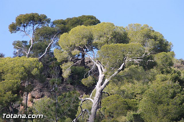 Romera Santa Eulalia 7 enero 2017 - Reportaje III Jornada de convivencia en La Santa  - 4