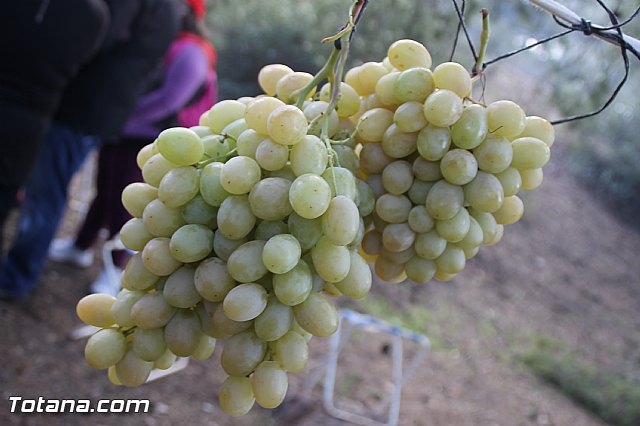 Romera Santa Eulalia 7 enero 2017 - Reportaje III Jornada de convivencia en La Santa  - 7