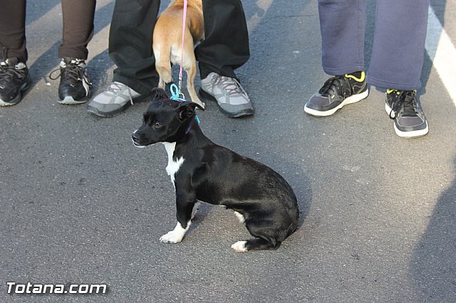 Romera Santa Eulalia Totana  08/12/2015 - Reportaje II - 383