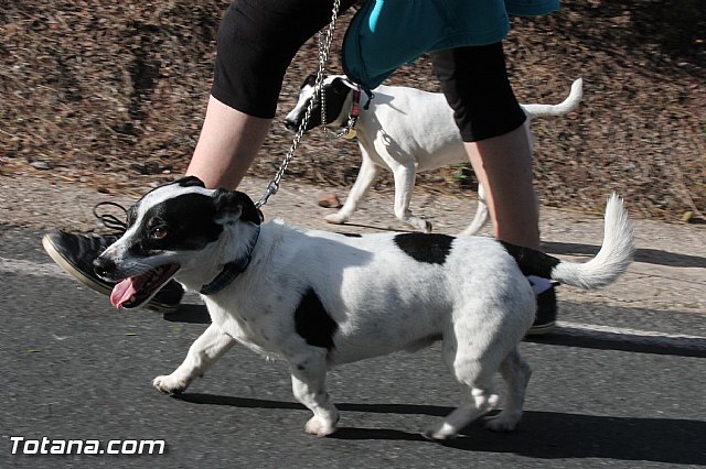 Romera Santa Eulalia. 7 enero 2014. Llegada a La Santa y Misa - 230