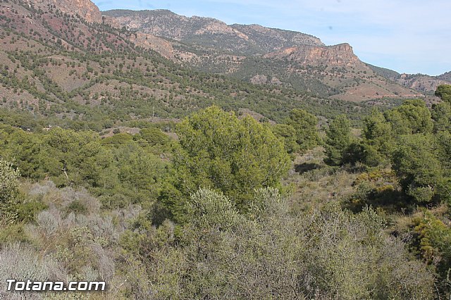 Romera Santa Eulalia. 7 enero 2014. Jornada festiva en La Santa - 66