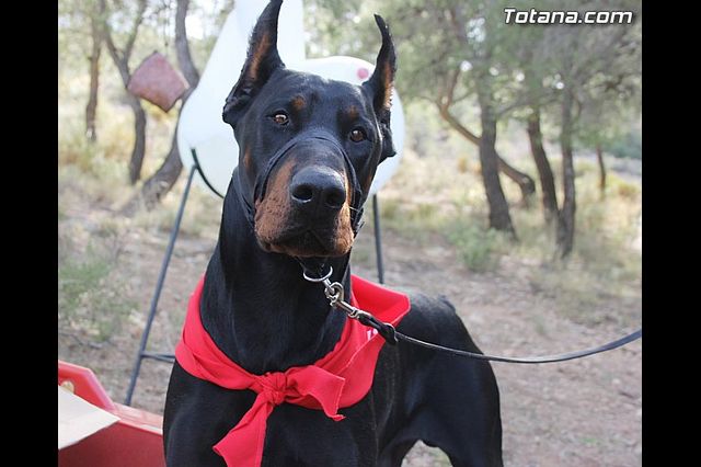 Romera Santa Eulalia. 7 enero 2014. Jornada festiva en La Santa - 149