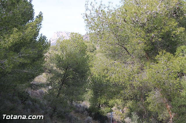 Romera Santa Eulalia. 7 enero 2014. Jornada festiva en La Santa - 227