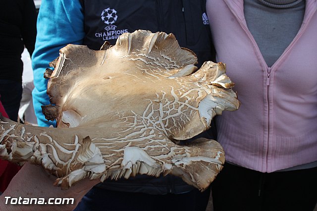 Romera Santa Eulalia. 7 enero 2014. Jornada festiva en La Santa - 235