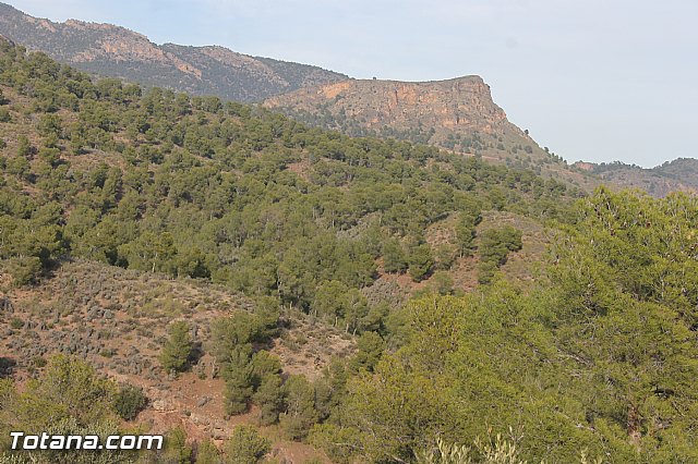 Romera Santa Eulalia. 7 enero 2014. Jornada festiva en La Santa - 308