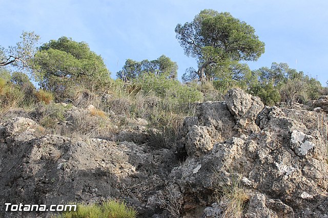 Romera Santa Eulalia. 7 enero 2014. Jornada festiva en La Santa - 324