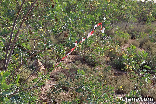 III Hispanian Race - Totana 2019 (Reportaje I) - 162