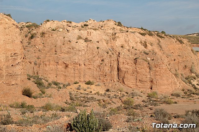 III Hispanian Race - Totana 2019 (Reportaje I) - 164