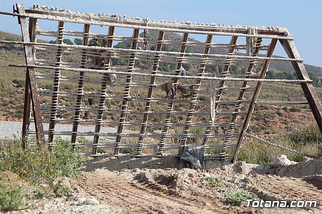 III Hispanian Race - Totana 2019 (Reportaje I) - 234