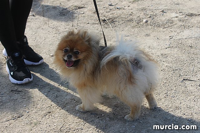 III Hispanian Race - Totana 2019 (Reportaje II) - 115