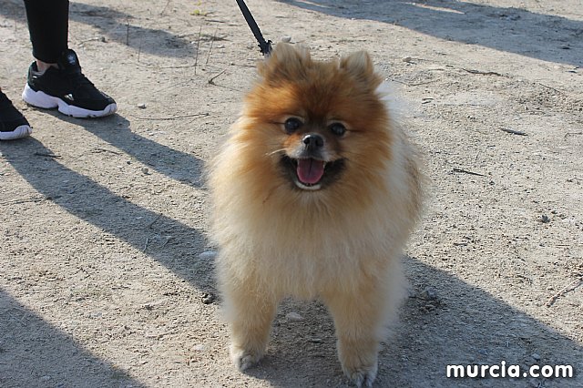 III Hispanian Race - Totana 2019 (Reportaje II) - 116