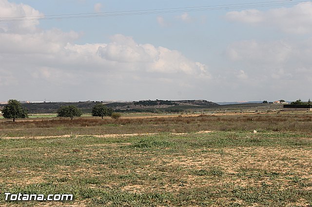 IX Encuentro de Cuadrillas del El Raiguero - 252