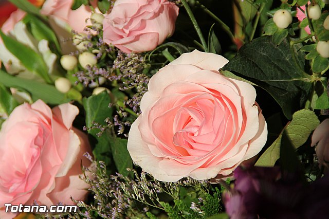 Procesin Raiguero Alto 2016 - 5