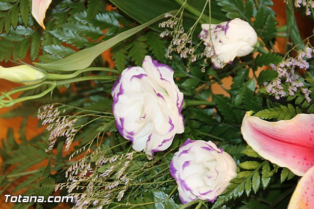 Procesin Raiguero Alto 2016 - 17