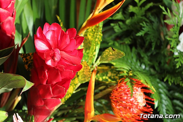 Procesin Raiguero Alto 2019 - 14