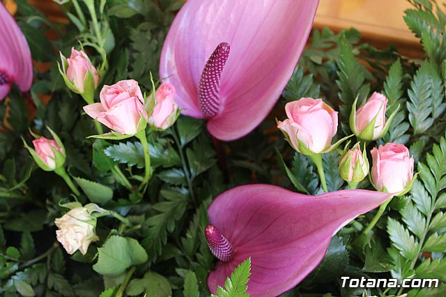 Procesin Raiguero Alto 2019 - 19