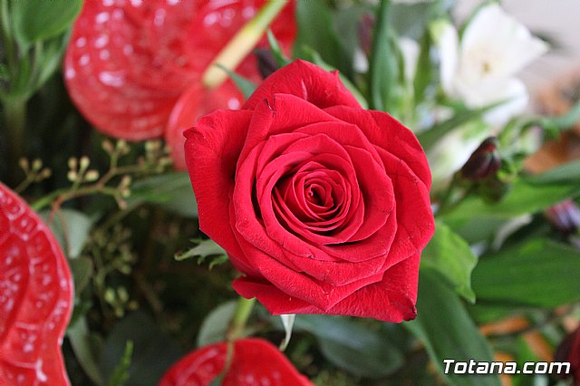 Procesin Raiguero Alto 2019 - 28