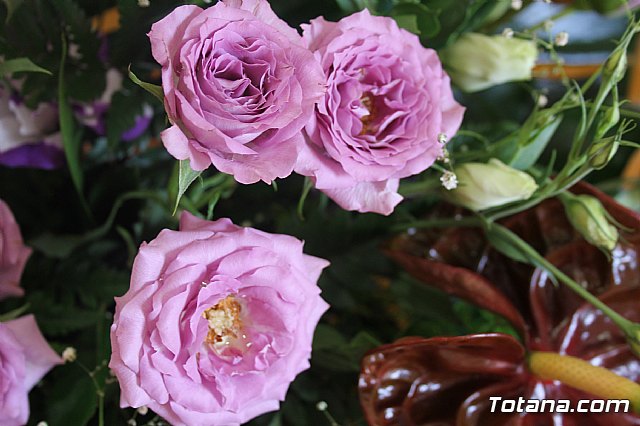 Procesin Raiguero Alto 2013 - 15