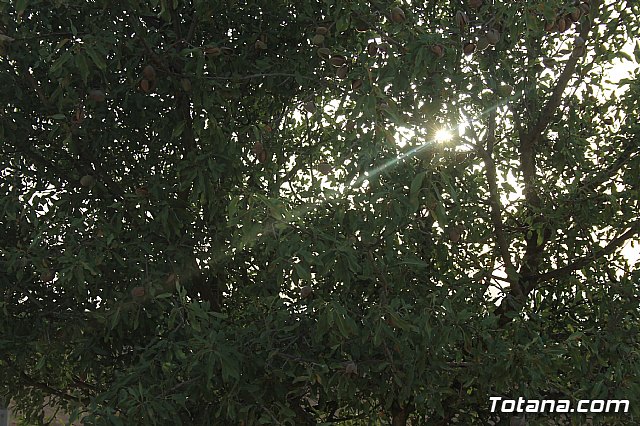 Procesin Raiguero Alto 2013 - 50