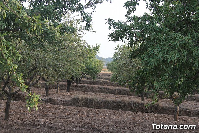 Procesin Raiguero Alto 2013 - 100