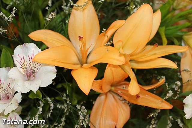 Procesin Raiguero Alto 2015 - 9