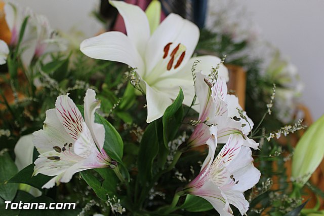 Procesin Raiguero Alto 2015 - 11