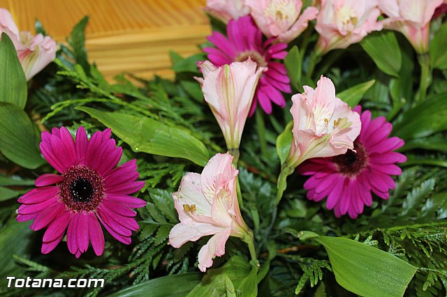 Procesin Raiguero Alto 2015 - 14