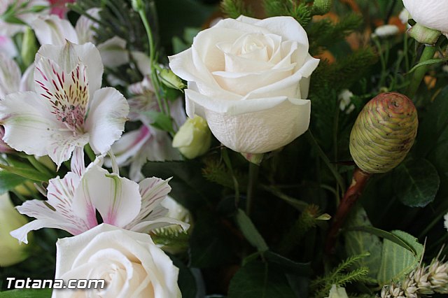 Procesin Raiguero Alto 2015 - 17