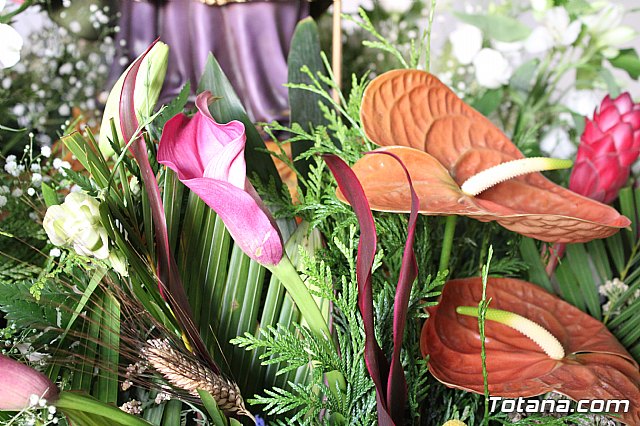 Procesin Raiguero Alto 2018 - 15