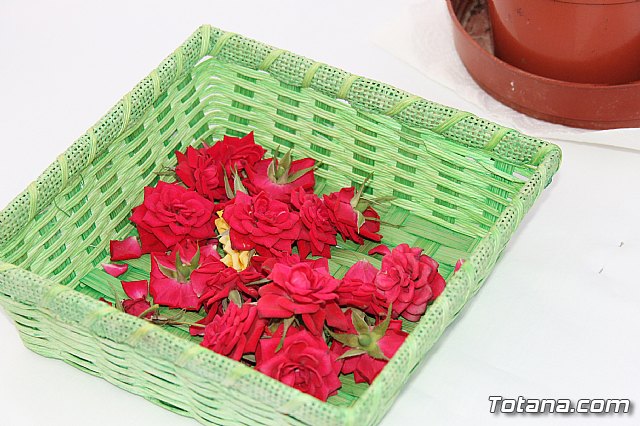 Procesin Raiguero Bajo 2013 - 149