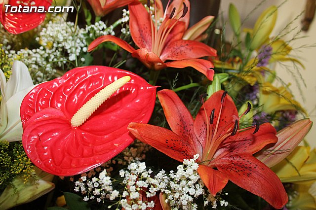 Procesin Raiguero Bajo 2014 - 14