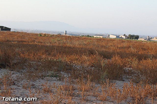 Procesin Raiguero Bajo 2015 - 73