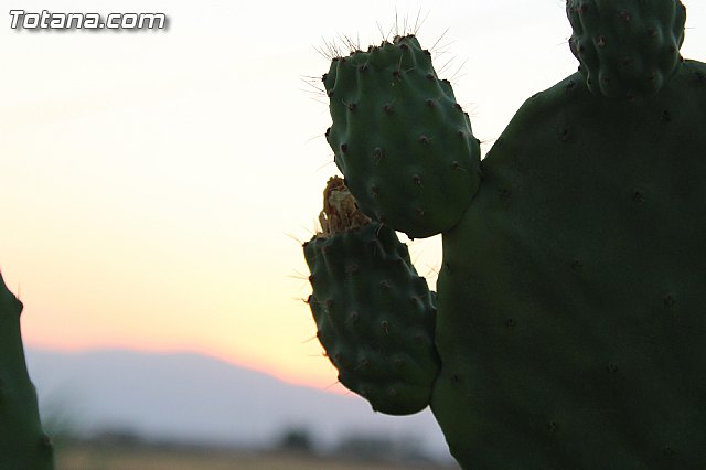 Procesin Raiguero Bajo 2015 - 134