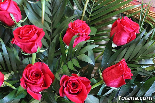 Fiestas Raiguero Bajo 2019 - 49