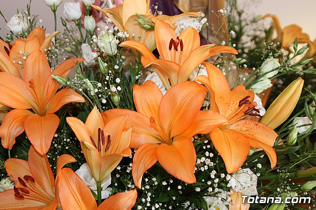 Procesin Raiguero Alto 2017 - 9