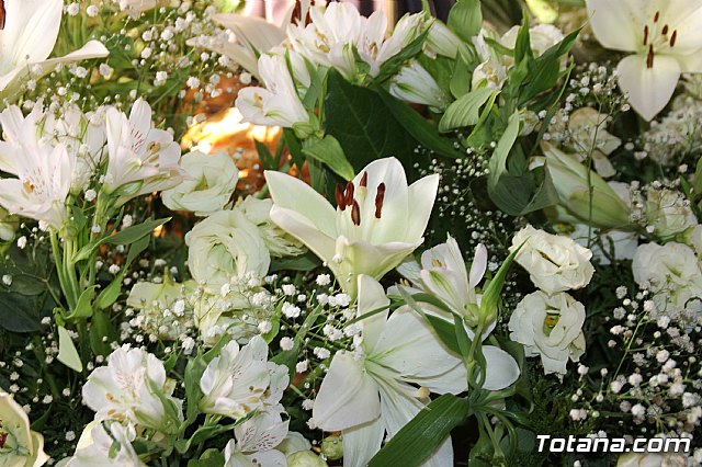 Procesin Raiguero Alto 2017 - 13