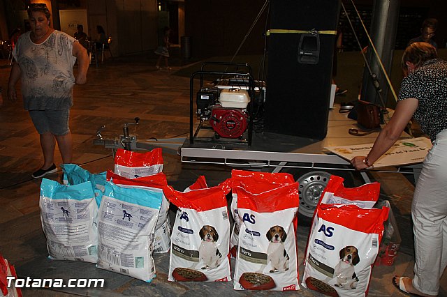 El Carnaval de Totana colabora con el Refugio del Viento - 4